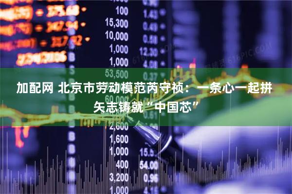 加配网 北京市劳动模范芮守祯：一条心一起拼&#32;矢志铸就“中国芯”