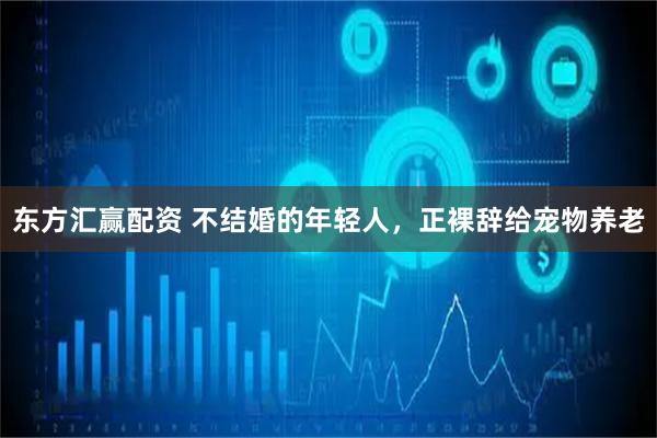东方汇赢配资 不结婚的年轻人，正裸辞给宠物养老