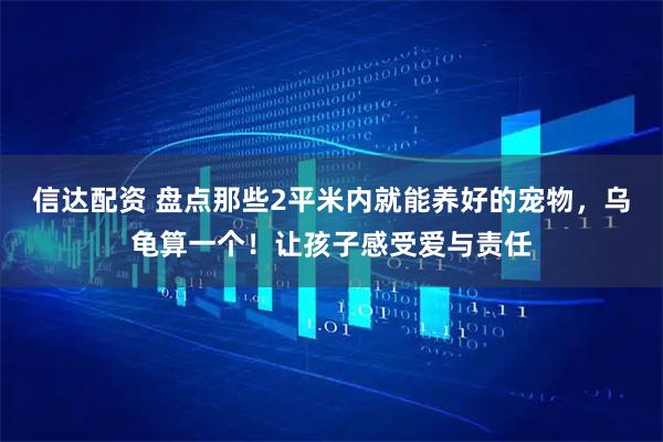 信达配资 盘点那些2平米内就能养好的宠物，乌龟算一个！让孩子感受爱与责任