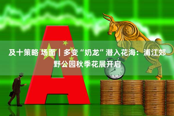 及十策略 场面｜多变“奶龙”潜入花海：浦江郊野公园秋季花展开启