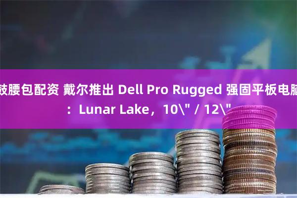 鼓腰包配资 戴尔推出 Dell Pro Rugged 强固平板电脑：Lunar Lake，10＂ / 12＂