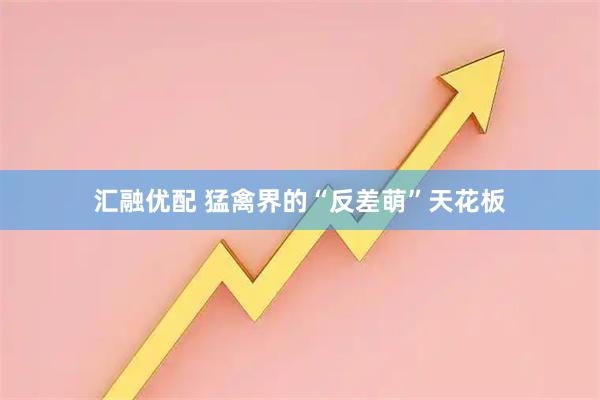 汇融优配 猛禽界的“反差萌”天花板