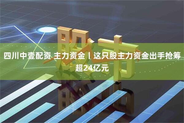 四川中壹配资 主力资金丨这只股主力资金出手抢筹超24亿元